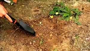Makute Shovel Rake Hoe Planting Tool Set for Garden