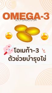 ซื้อ1 แถม1 น้ำมันปลา Fish Oil สำหรับบุตรยาก มีบุตรยาก ประจำเดือนมาไม่ปกติ ไข่ไม่ตก ท้องยาก กระปูกละ 30s โอเมก้า 3 โอเมก้าสาม