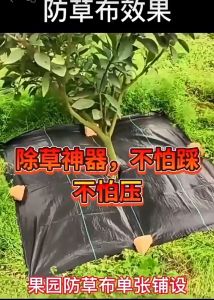 0.8M/1M/1.2M/1.5M Garden Weedmat Weed Control Mat Barrier Garden Lanscape Penanah Bumi Pencegah Rumpai