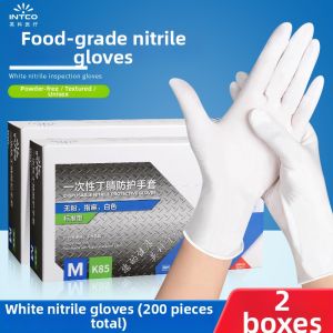 Intco | Kitchen Waterproof and Oil-Resistant Black Nitrile Disposable Gloves