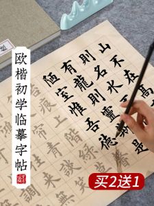Bộ Tập Viết Chữ Hán Bằng Bút Mực Mềm Cho Người Mới Bắt Đầu ZFZ ZKZT 03 Bộ Tập Viết Chữ Hán Cho Người Lớn Chân Dung Teng Wang Ge