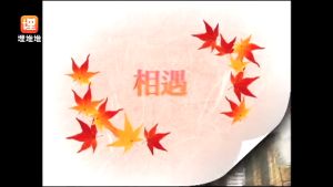 USB Classic Drama Cantonese 天幕下的恋人 + 最美丽的第七天 粤语广东话 经典爱情港剧 周丽淇 郑嘉颖