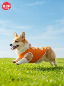 hipidog | Corgi-specific Cooling Pet Vest Summer Breathable