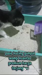 Kemasan 25 liter DOM Cat Sand Pasir Kucing Gumpal Wangi - Anti Bacterial