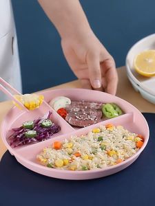 Pinggan Suku Suku Separuh Diet Healthy Plate Balance Makanan Sihat Untuk Weight Lose Portion Divided 健康餐盘 均衡营养