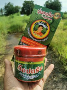 หนุ่มเมืองชล ท็อปดรีม ปุ๋ยทางใบ สำหรับช่วงพืชติดดอกออกผลลงหัวข้าวตั้งท้อง เพิ่มขนาดน้ำหนักและรสชาติให้เก็บผล