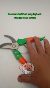 Popeye Gunting stek bonsai tanaman tajam super kuat