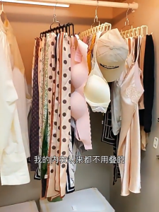 20 Hooks Clothes Hanger Rotating Multifunctional Organizer Bra Belt Underwear Vest Sling Storage Durable Space Saving