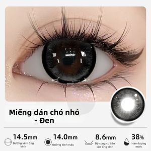 TINACON | Mắt Kính áp Tròng To Màu Nâu Tự Nhiên Đã Phủ Màu