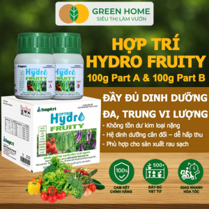 Phân bón Hợp Trí Hydro Fruity GreenHome Hộp 200g (Part A+B) Chuyên Cho Cây Ăn Trái Trồng Thủy Canh