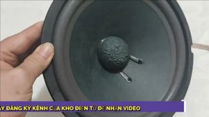 Củ loa bass 25 sony từ 120 công suất 200w lòng sâu bass sáng giá 1 chiếc