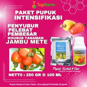 Pupuk Pelabat Jambu Mete / Pupuk Pembesar Jambu Mente / Pupuk Pohon Mete / Pupuk Khusus Jambu Mete / Pupuk Untuk Tanaman Buah Kacang Mete