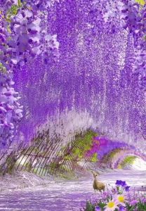 Dekorasi Bunga Wisteria Jumbo: Aesthetic & Plastik