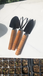 Dụng Cụ Làm Vườn 3 Món Cán Gỗ Nhỏ - Gồm: 2 Xẻng 1 Cào tiện dụng chất lượng tốt bền bỉ - Nông dân phố 88