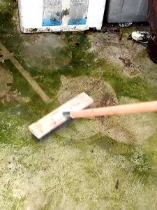 แปรงลวดสเตนเลส แปรงขัดพื้น ก้านยาว สเตนเลส สําหรับทําความสะอาดกระเบื้อง พื้น มอส อ่างล้างจาน