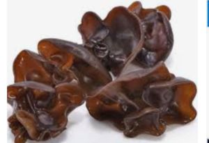 JAMUR KUPING SEGAR  RP 11.000 / 500 gram