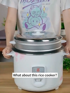 rice cooker 1.5L 2L 3L 4L multifunctional mini electric cooker standard inverter type big hot pot cooker sale small for 2 to 4 person sale with steamer non stick