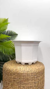 Bộ 2 chậu nhựa bát giác 22x17cm trồng hoa trắng nhựa dày