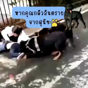 🔥ในระยะ1000 เมตรสัตว์ไม่กล้าเข้าใกล้🔥อัลตราโซนิกอุปกรณ์ไล่นกไล่หนูไล่หมาไล่แมวไล่งูที่ไล่ตัวเงินตัวทอง เครื่องไล่สัตว์ เอฟเฟกต์เพิ่มขึ้น 100% เทคโนโลยีขั้นสูง พกพาสิ่งนี้ไปคุณจะไม่กลัวสุนัขอีกต่อไป ได้ผลมากขึ้น เครื่องไล่สุนัข เครื่องไล่นก อุปกรณ์ไล่นก