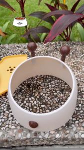 Mangkok Tempat Makan Minum Hewan Kucing Mangkuk Makanan Anjing Pet Cat Dog Bowl Feeder