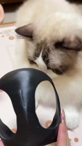 Gift Black Bat Cat Avenger Mask Matte Cool Bat Mask Superhero Cute Pet Toys For Cats And Dogs