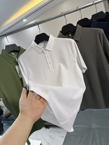 Long Staple Pique Cotton Short Sleeve Polo Shirt Breathable Honeycomb Design Casual Summer Fashion Urban Style for Young Men