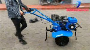 Máy xới đất mini chạy xăng giá rẻ ở đâu bán KMR 170x