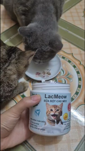 Sữa bột cho chó LacPup hộp 100g Nutricats