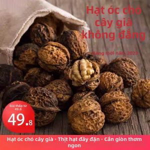 Hạt Óc Chó Vỏ Mỏng Từ Cây Cổ Thụ Rừng