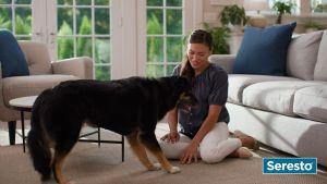 Seresto Vet-Recommended Flea & Tick Treatment & Prevention Collar for Dogs and Cats | 8 Months Protection