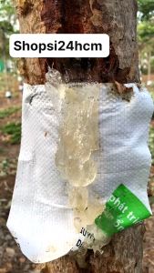 1KGMỦ TRÔM SẠCH THIÊN NHIÊN HẠT LỰU NHỎ CƠ SỞ SẢN XUẤT BÌNH THUẬN