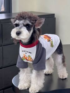 Summer Pure Cotton Spliced Color Barbecue T-Shirt Pet Clothes for Cats And Dogs Indoor Anti-Dander Air Conditioning Clothes for Medium to Large Dogs