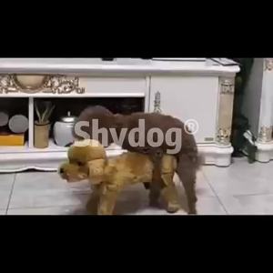 Silicone Simulation Mating Dog Toy Male Electric Pet in Heat Dog Toy Small Dog Bulldog Teddy Dog accessories Heat Simulation