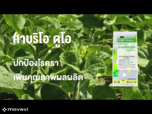 คาบริโอ ดูโอ ขนาด 500 กรัม กำจัดราน้ำค้าง ใบจุด ใบไหม้ 1 ซอง ใช้ได้ 10 ไร่