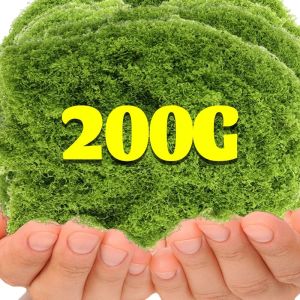 200G Eternal Life Moss Grass Artificial Green Plants Mini Landscape Fake Grass Garden Living Room Home Decoration DIY Crafts