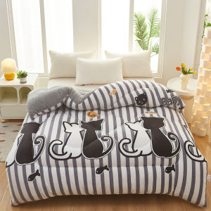 MOLORE | Thick Warm Double-sided Velvet Duvet