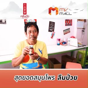 5 กระปุก Lhin Tung หลินตัง สมุนไพรจีน อาหารเสริมลดระดับน้ำตาล บำรุงร่างกาย ขนาด 30 แคปซูล พร้อมแถม