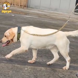 Dog Collar Nylon Soft Rubber Handle Control Training For Medium Military Adjustable Tactical Collar with Leash