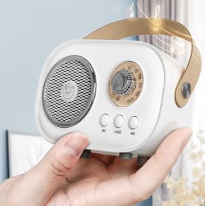 C20 Plus Portable Wireless Bluetooth Mini Karaoke KTV Speaker With Wireless Microphone