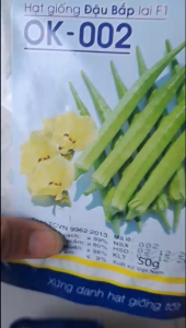 Hạt Giống Đậu Bắp Lai F1 OK-002 Number One (Gói 50gr) - Giống chuẩn F1 trái đẹp năng suất cao
