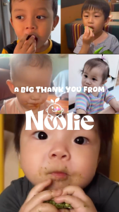 Noolie® Triple Nutrition Bundle – Balanced Nutrition in Every Bite!