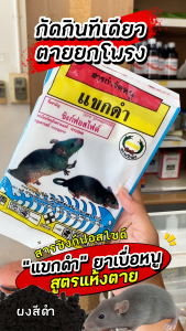 ยาเบื่อหนู ยาหนูแขกดำ ซิงก์ฟอสไฟด์ ผงดำ แบบซอง สูตรแห้งตาย ไม่มีกลิ่น เห็นผลไวใน 1 คืน