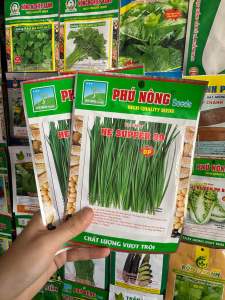 Hạt Giống Rau Hẹ Khả Năng Tái Sinh Cao Dễ Trồng Ở Mọi Điều Kiện