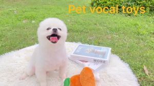 Pet Toy Dog toy Interactive Banana carrot Donut watermelon Puppy Chew Plush Toy Dog Chew