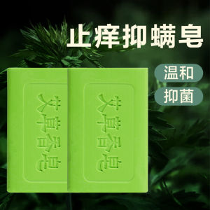 Nước Hoa Artemisia Aroma Soap Dụng Cho Toàn Thân Xóa Bỏ Côn Trùng Mùa Xuân 2024 Nước Hoa Tắm Thủ Công Dành Cho Nam Và Nữ Dụng Cụ Vệ Sinh