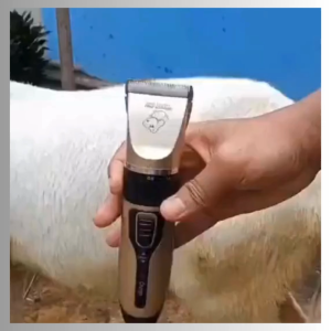 COD BaoRun NC4 Alat Cukur Elektrik Bulu Domba kambing Super Tajam Charger + Mata Pisau