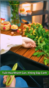 Kéo Tuốt Hoa Nhanh Gọn Không Dập Cành Hoa - Bảo Vệ Tay Khỏi Gai Đâm