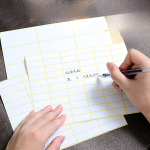 Small Self-Adhesive Stickers White Blank Names Kitchen Cosmetics Price Date Handwritten Labels for Keys Documents Classification