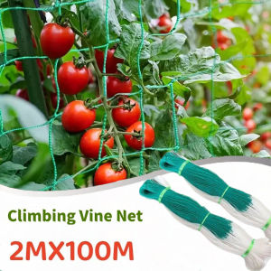 2Mx100M Garden Plant Climbing Net Trellis Net Support Nylon Mesh Trellis Net for Vegetables Fruits