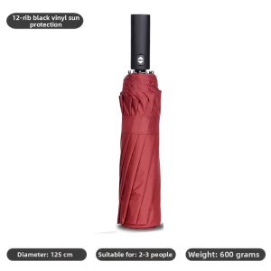 Waterproof Auto Open Close Folding Umbrella 12 Ribs